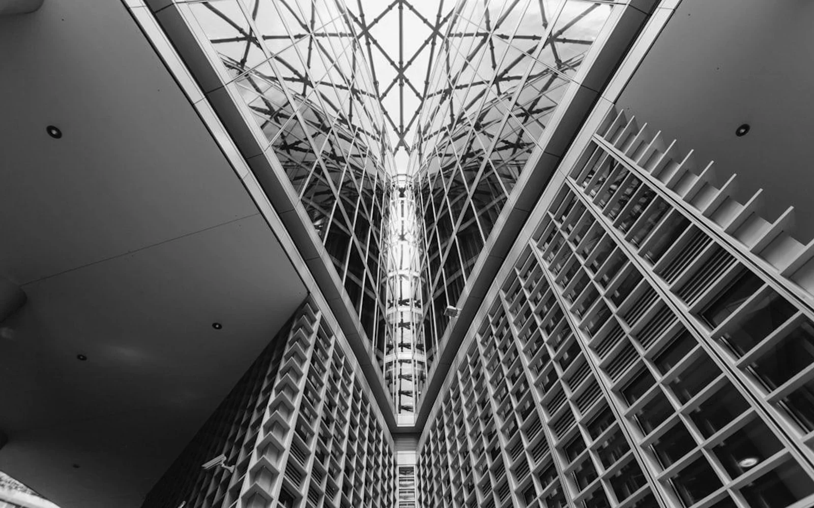 Canadian Lobbying Dynamics: Insights from a Global Economy's Advocacy Market