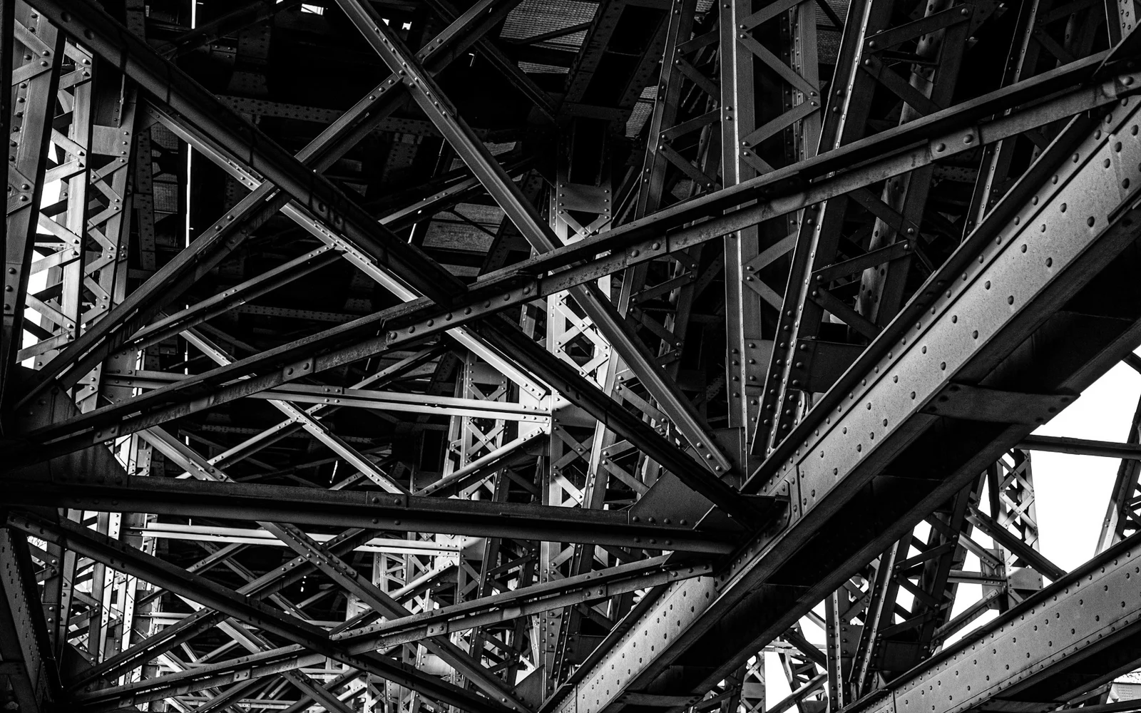 Coalition Lobbying Transparency: A Disclosure Checklist for Government Affairs Teams